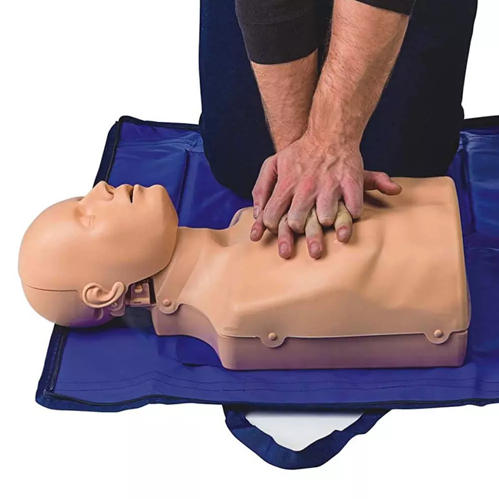 zesco-india-life-size-2-in-1-simulator-half-body-cpr-training-manikin-skin-body-for-biology-and-medical-labs-zesco-mb001