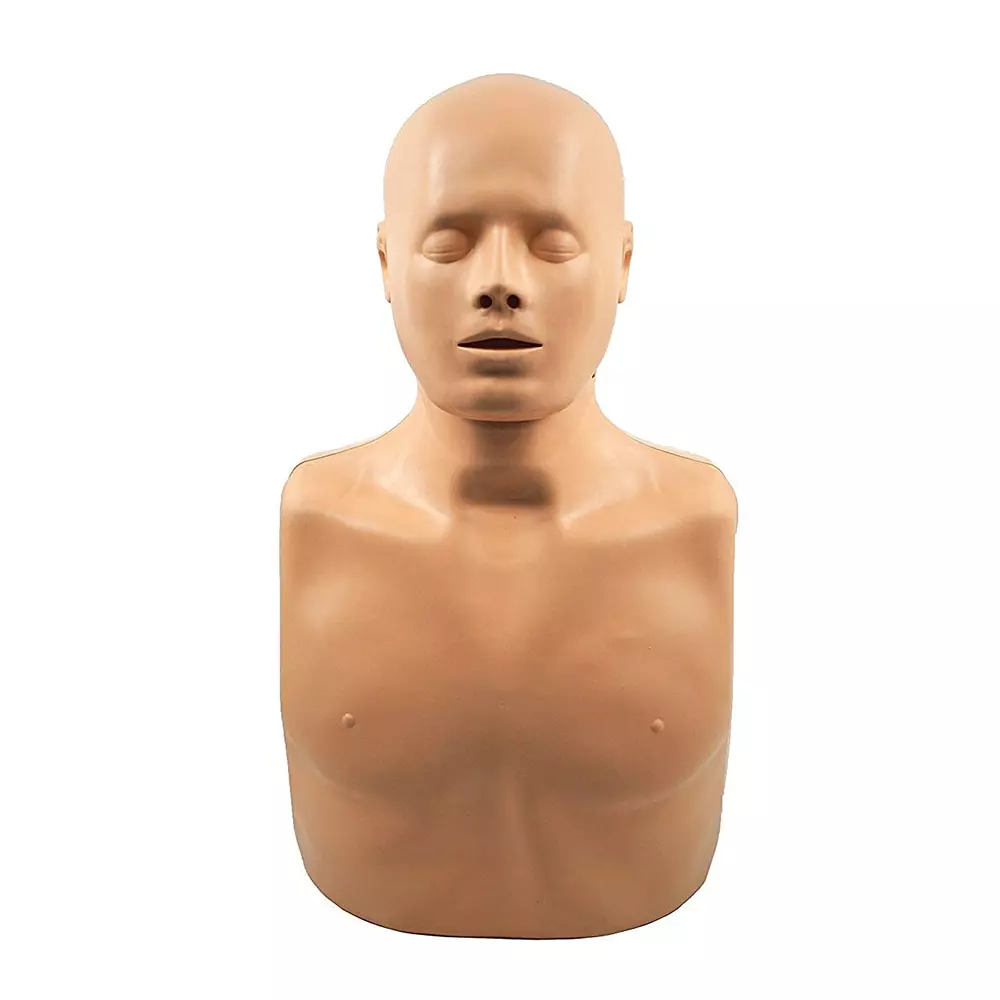 zesco-india-life-size-2-in-1-simulator-half-body-cpr-training-manikin-skin-body-for-biology-and-medical-labs-zesco-mb001