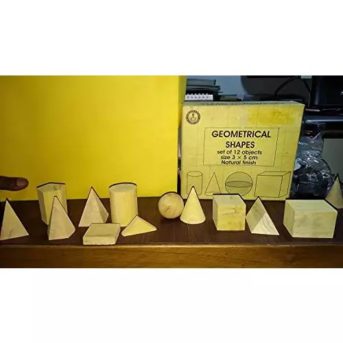 WKM Natural Finish Wooden Geometrical Model Figure KTBR102 (Set of 12 Pcs)