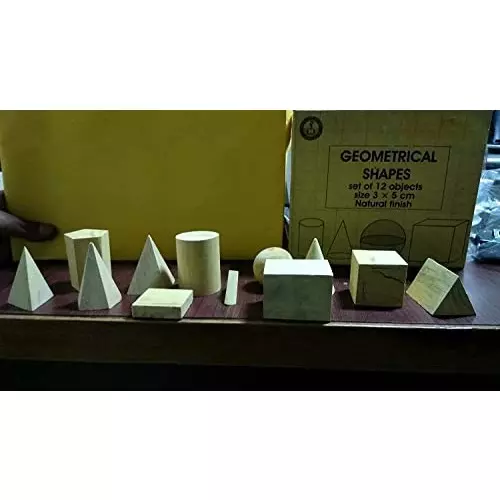 wkm-natural-finish-wooden-geometrical-model-figure-ktbr102-set-of-12-pcs