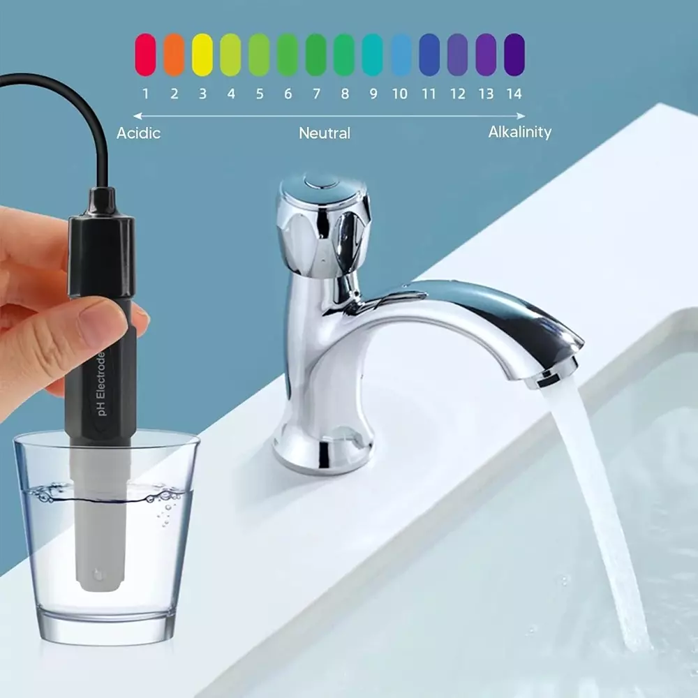 generic-ph-electrode-with-bnc-connector-with-12-cm-diameter-and-about-200-cm-cable-length-ph-201h