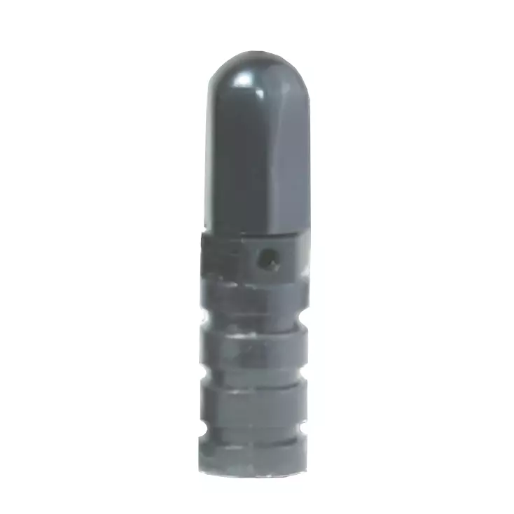 Paragon LLC Probe Electrode Stainless Steel 316 70 mm Height and -20°C to 80°C Working Temperature, PROBE