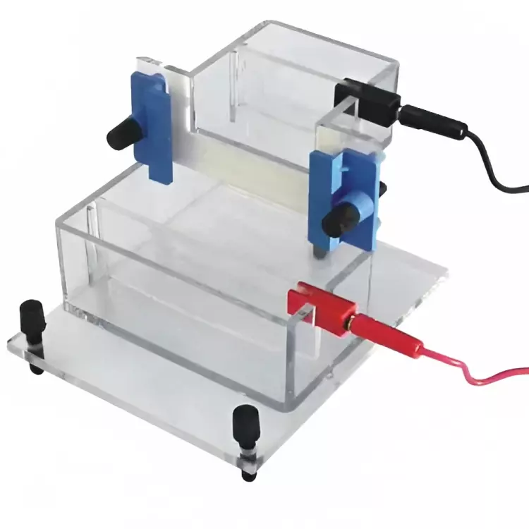 U-Tech 99.9% Vertical Slab Gel Electrophoresis Apparatus SSI-198