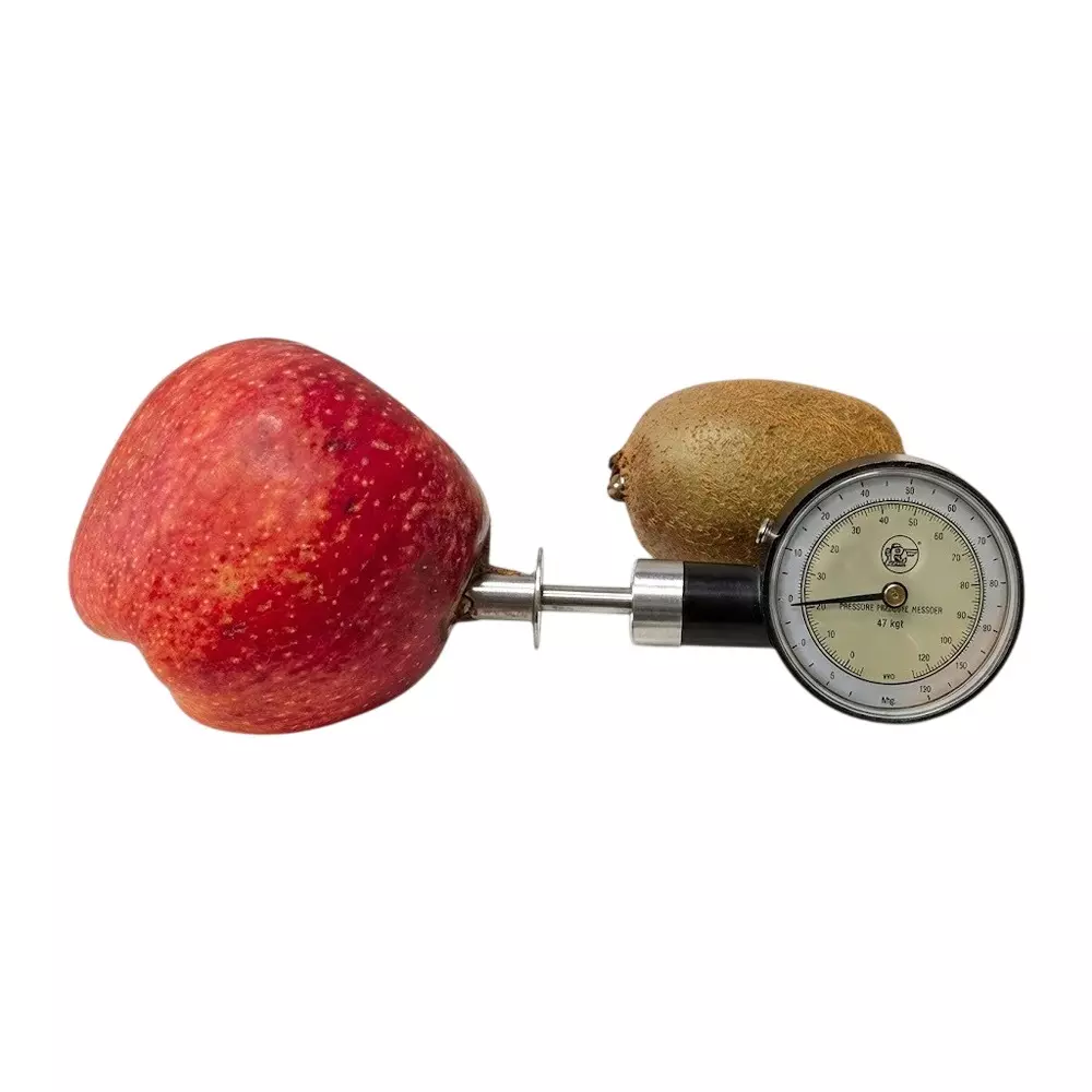 Scientech Fruit Pressure Tester 0-13 Kg Range Used for Apple, Pear, Peaches, SE-262