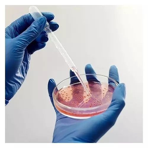 wkm-20-piece-plastic-petri-dishes-deep-sterile-petri-plates-with-20-piece-of-3-ml-plastic-transfer-pipettes-petri-dish-set-for-lab-experiment-biology-microbiology-studies