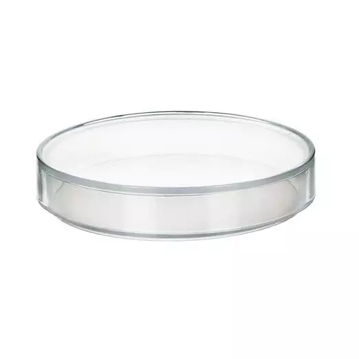 wkm-20-piece-plastic-petri-dishes-deep-sterile-petri-plates-with-20-piece-of-3-ml-plastic-transfer-pipettes-petri-dish-set-for-lab-experiment-biology-microbiology-studies