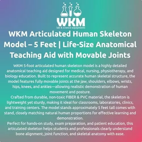 wkm-articulated-human-skeleton-model-with-stand-5-feet-anatomical-modelremovable-arms-and-legs-easy-to-assemblelab-medical-use