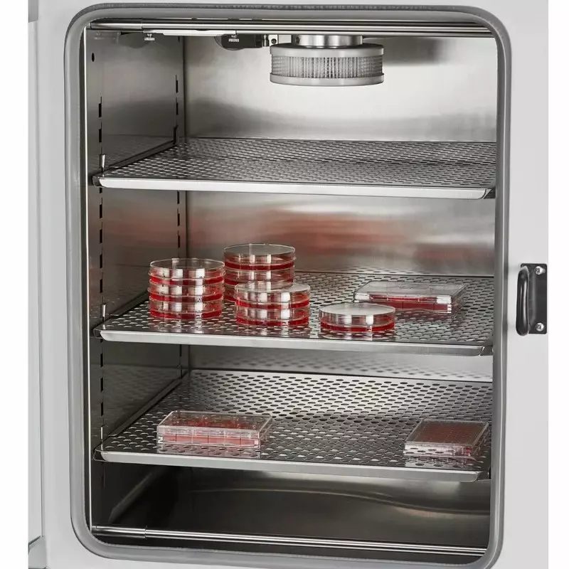 br-biochem-co2-incubator-with-5-inch-127-mm-lcd-touch-screen-and-ambient-4c-to-60c-temperature-range-br-co2-80a