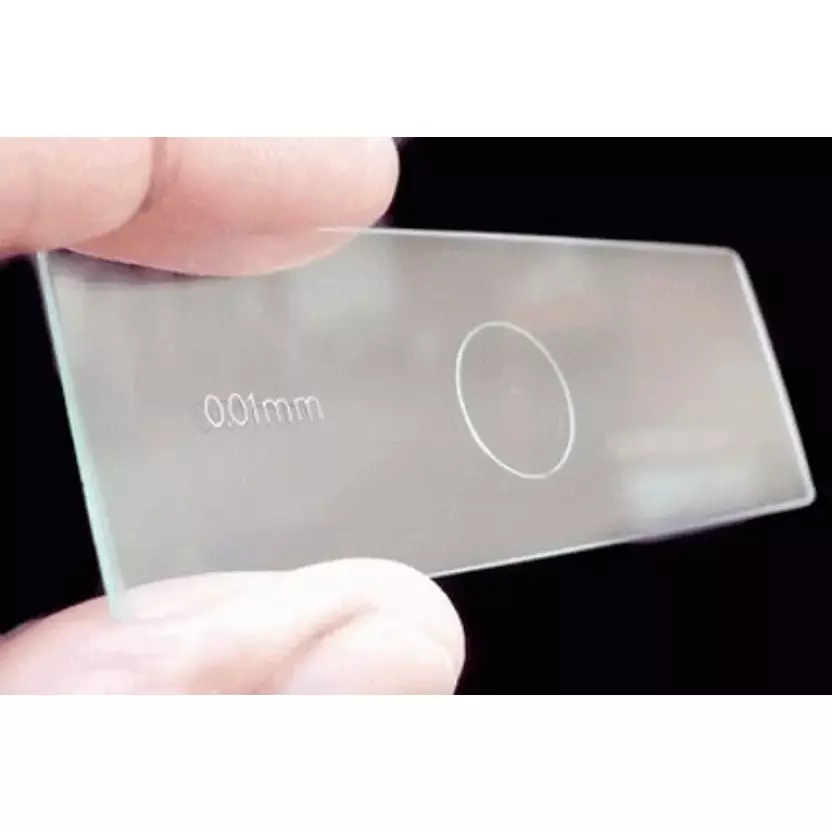 Erma Horizontal Slide 1 mm - 100 Division with Microscope Slide Box