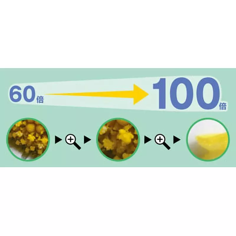 shinwa-rules-loupe-pocket-microscope-75753