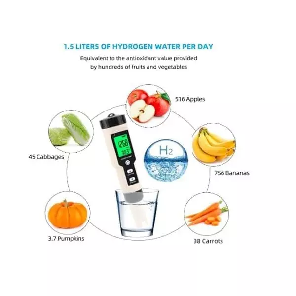 Bysafe 4-in-1 Professional Hydrogen/PH/ORP/Temperature Meter LCD Backlight Display and IP67 Rating, E9-ULDM-JNSB