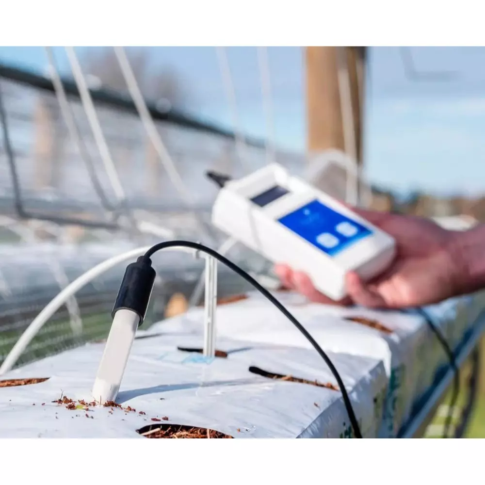 Bysafe Multimedia pH Meter With Backlit LCD Display and 2 Point Calibration, C5-I96W-2NAB