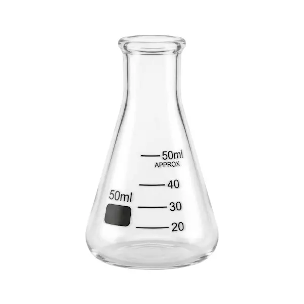 Bysafe 50 ml Conical Flask Clear Borosilicate Glass 3.3 for Laboratories, OMG25-2 (Pack of 2)