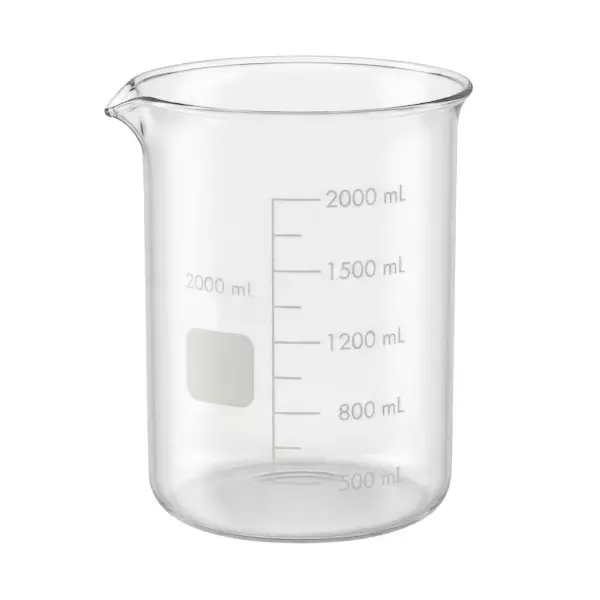 Bysafe 2 L Beaker Clear Borosilicate Glass 3.3 With Graduation and Spout, OMG09