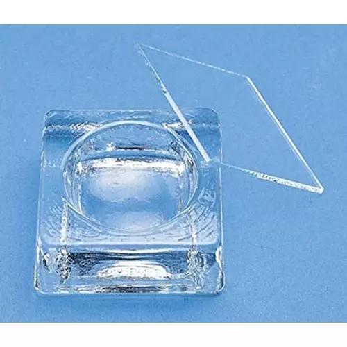 ABGIL Glass Staining Cavity Block 55 X 55 mm, ABG3191