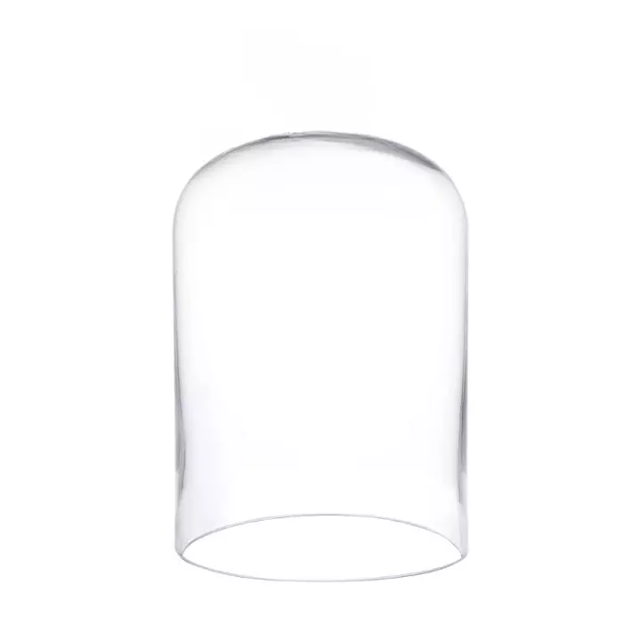 ABGIL Borosilicate Glass Bell Jar 30 cm Height & 12 cm Dia, ABG1008