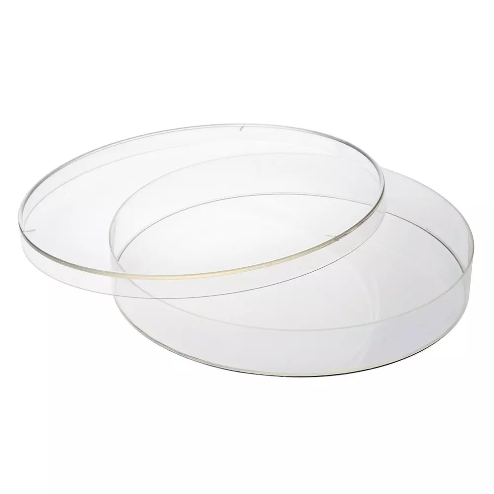 ABGIL Borosilicate Glass Culture Petri dishes, Transparent 17 mm Height and 90 mm Outer Dai, ABG1314