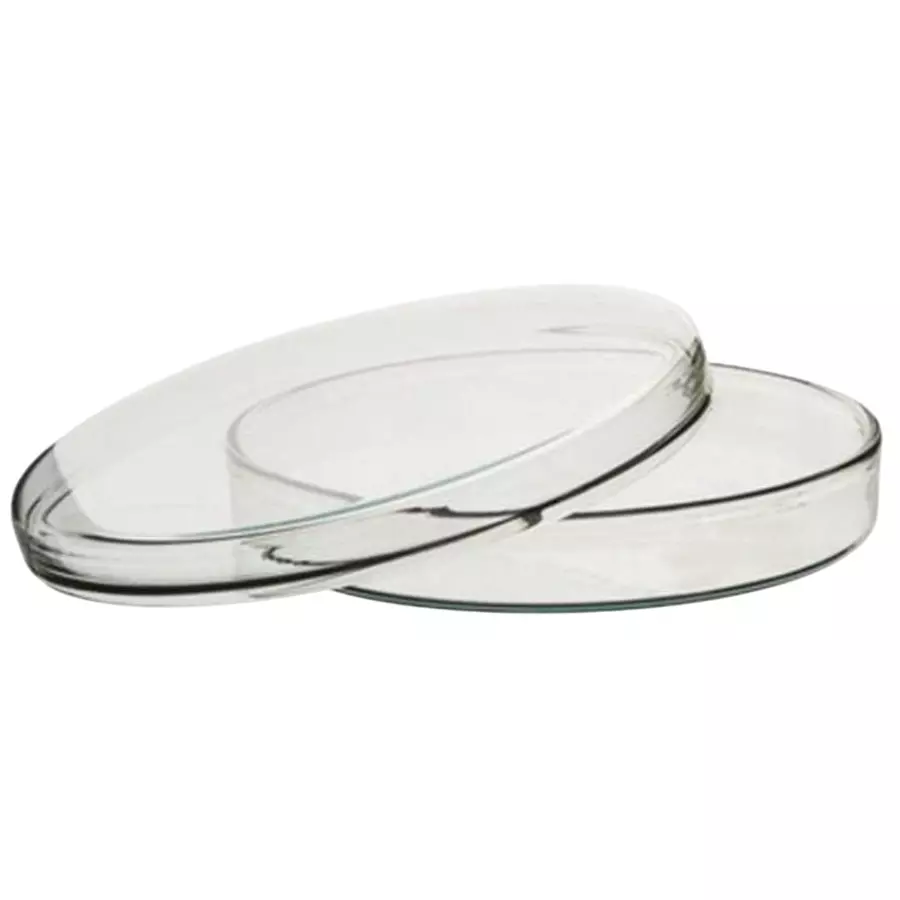 NSAW Petri Dishes 90 mm (3.54 inch) Flat Bottom Glass (Pack of 10)