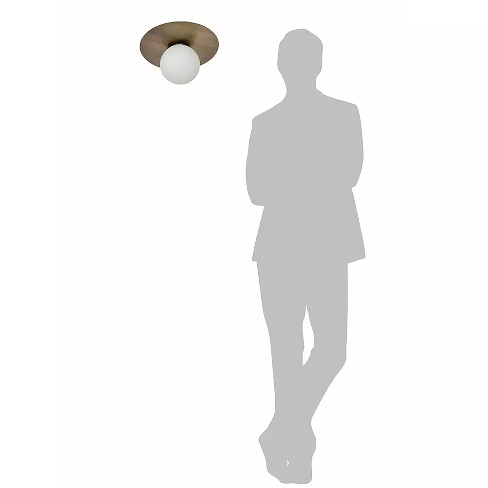 Fos Lighting Modern Ceiling Light with Frosted Globe Brass Antique Finish 40 W