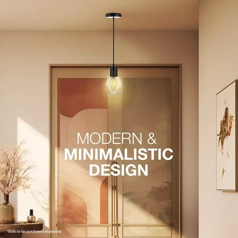 havells-radia-pendant-1ls-e27-base-cap-in-black-color-lhfiayd1tn1k007-without-bulb