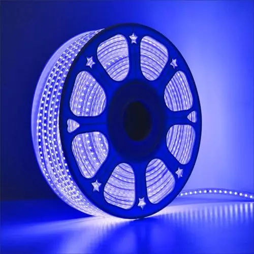 FORUS LED Rope Light Blue Length 30 m