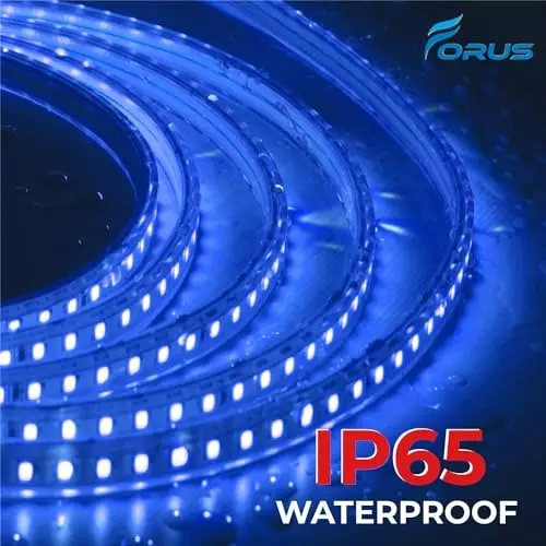 FORUS LED Rope Light Blue Length 30 m