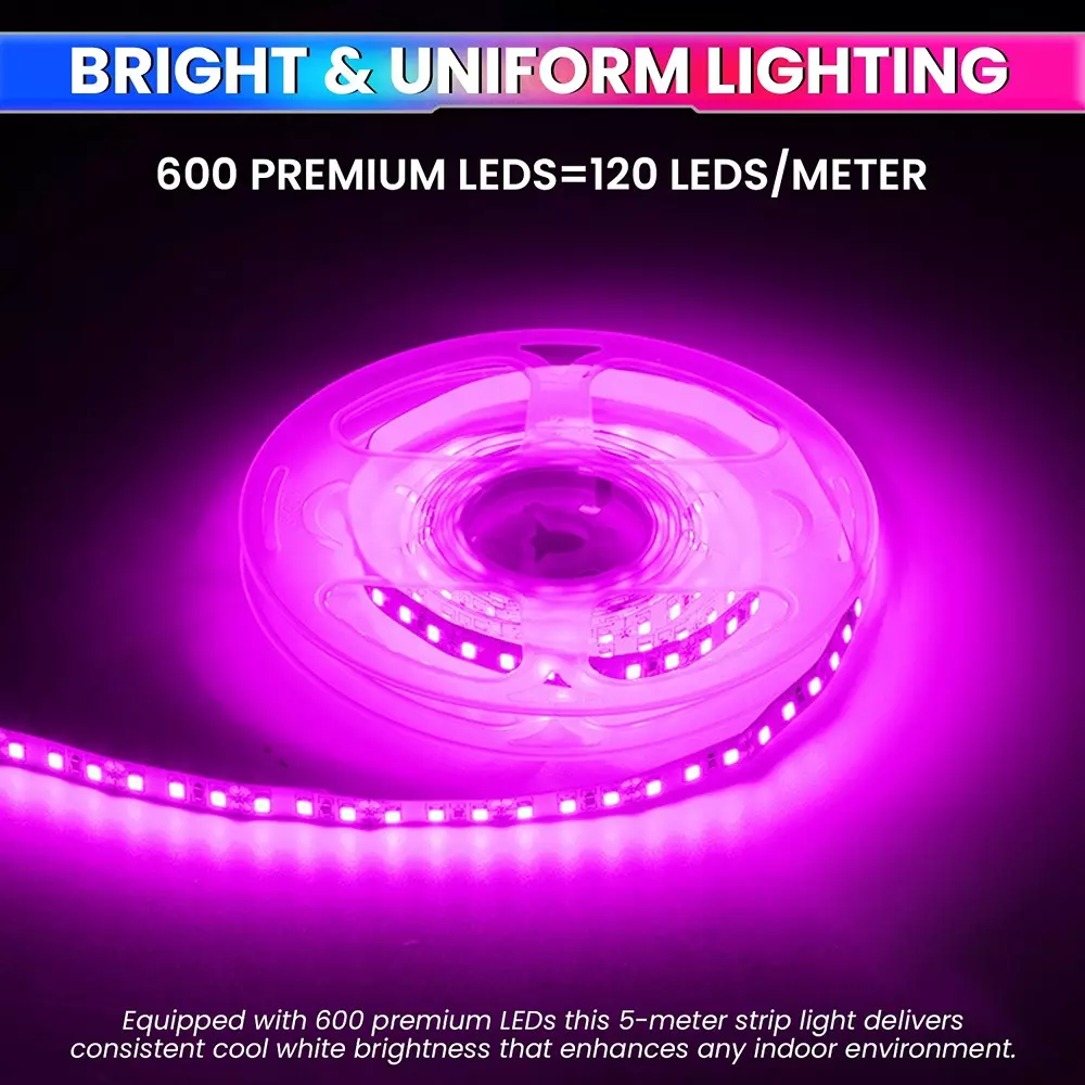amiciVision LED Strip Light Pink 120 LEDs/m & Length 5 m