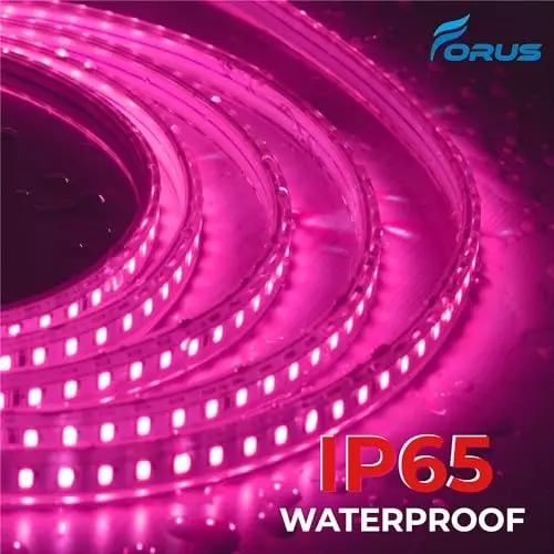 FORUS LED Rope Light Pink Length 20 m