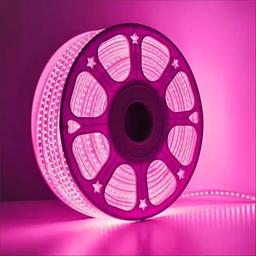 FORUS LED Rope Light Pink Length 10 m
