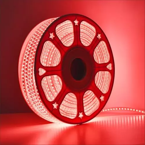 FORUS LED Rope Light Red Length 30 m