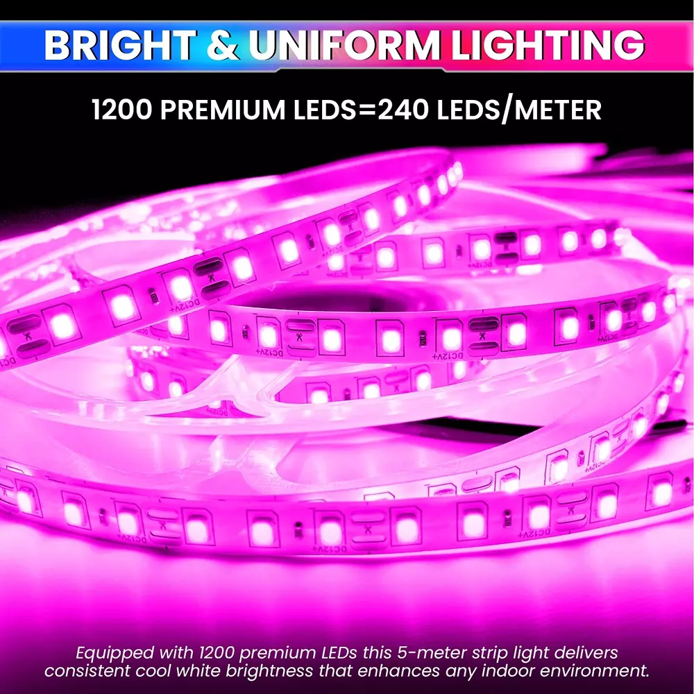 amiciVision LED Strip Light Pink 240 LEDs/m & Length 5 m