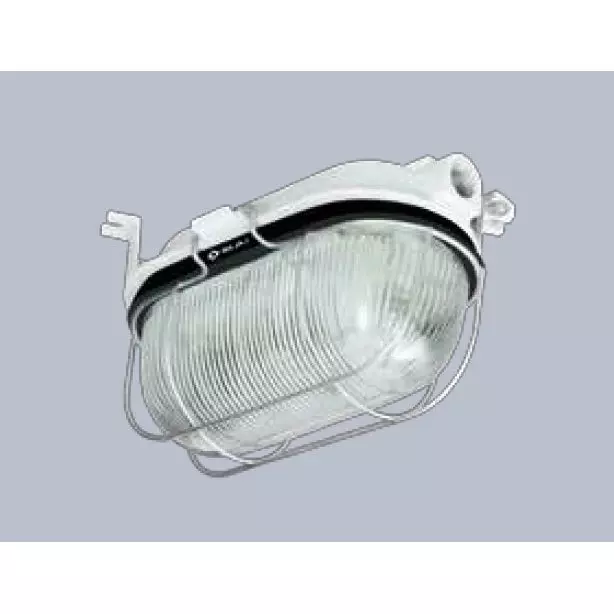 Buy Bajaj 024720 BJDB 100 ESGLS Bulkhead Light (Rated Power 100 W