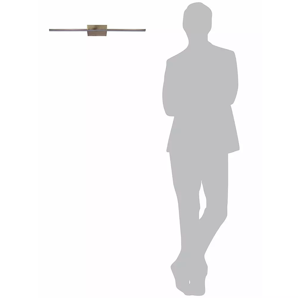 Fos Lighting Picture Light Modern Antique Brass 23-Inch 18 Watt LED Picture Light (Warm White)