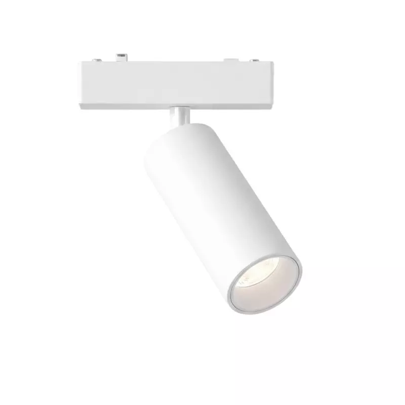 ALT Magnum Scale Module Track Light White Body Color 10 W Natural White Light Color, ALT1117