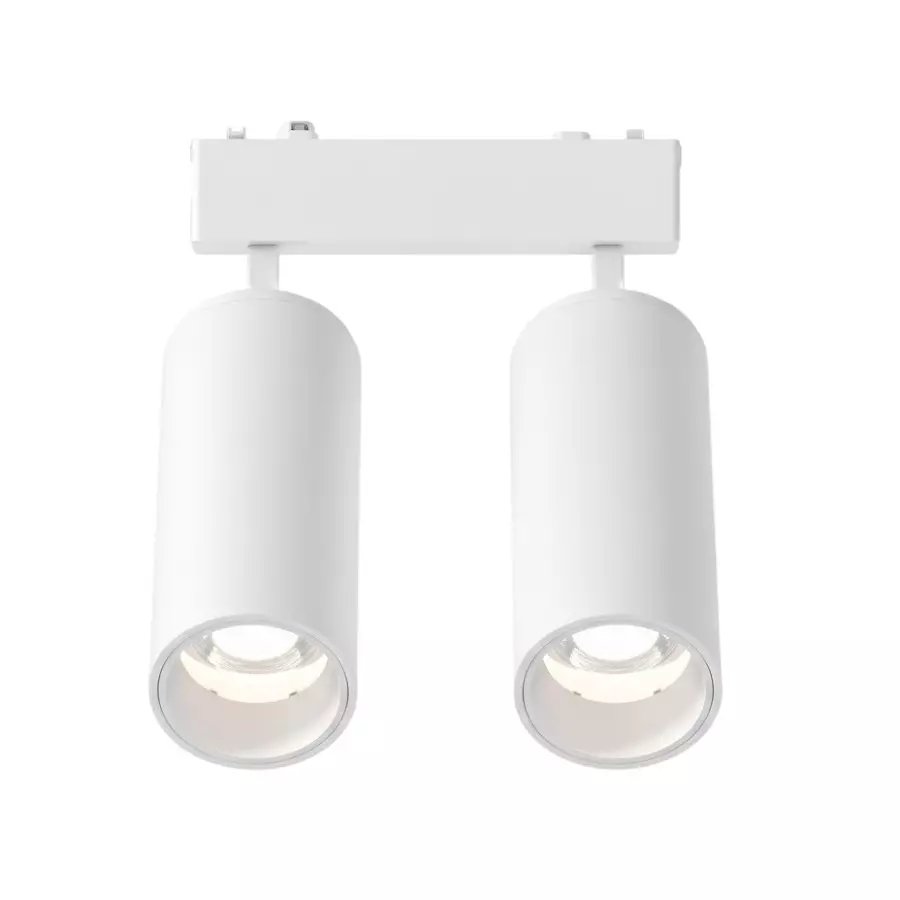 ALT Magnum Scale Module Track Light White Body Color 2 x 10 W Warm White Light Color, ALT1118