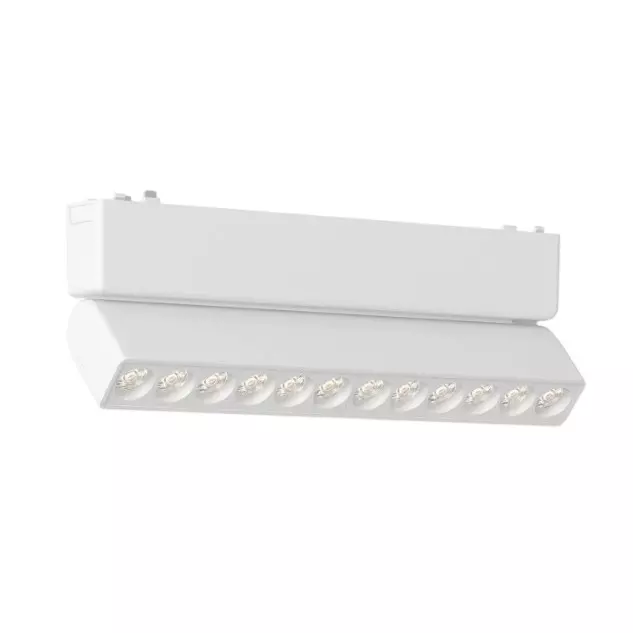ALT Magnum Scale Module Wall Washer Light White Body Color 12 W Warm White Light Color, ALT1116