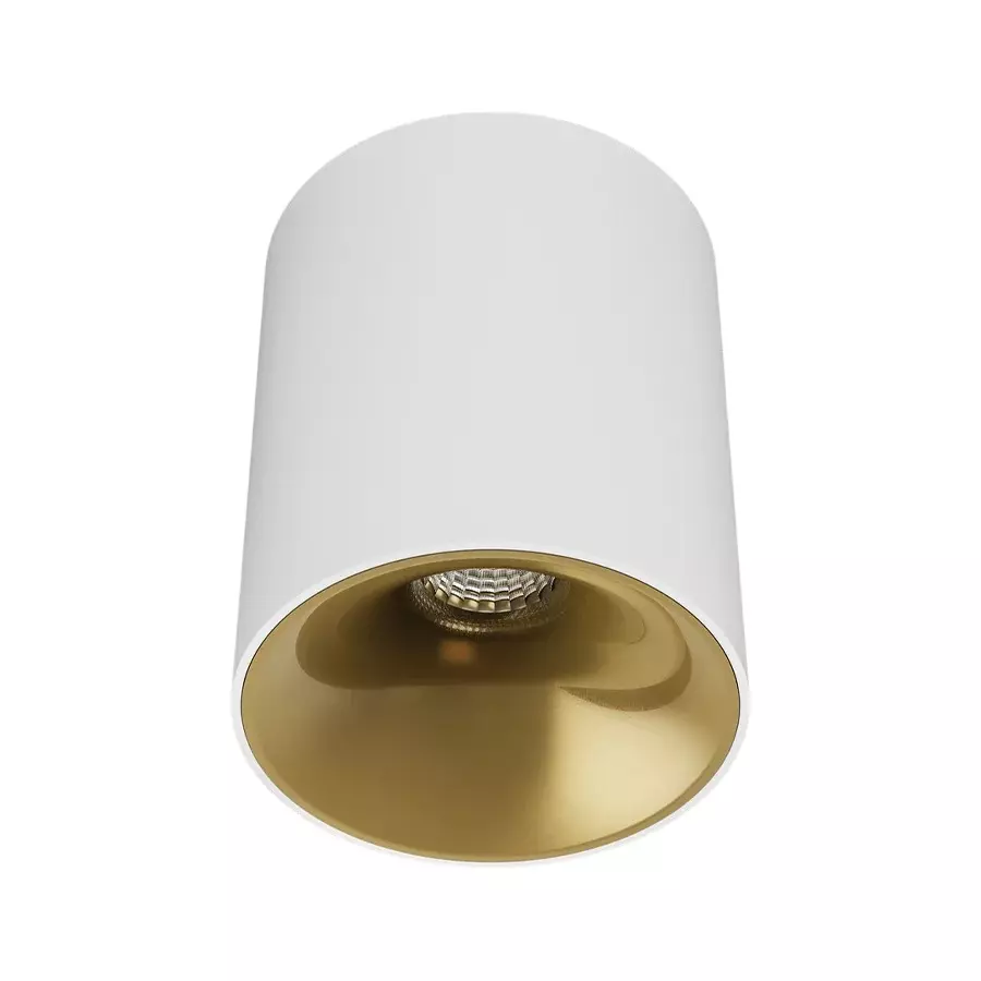 ALT Shimmer Cob Surface Light White Body Color 12 W White Light Color & Matt Gold Reflector Color, ALT0646-PKW