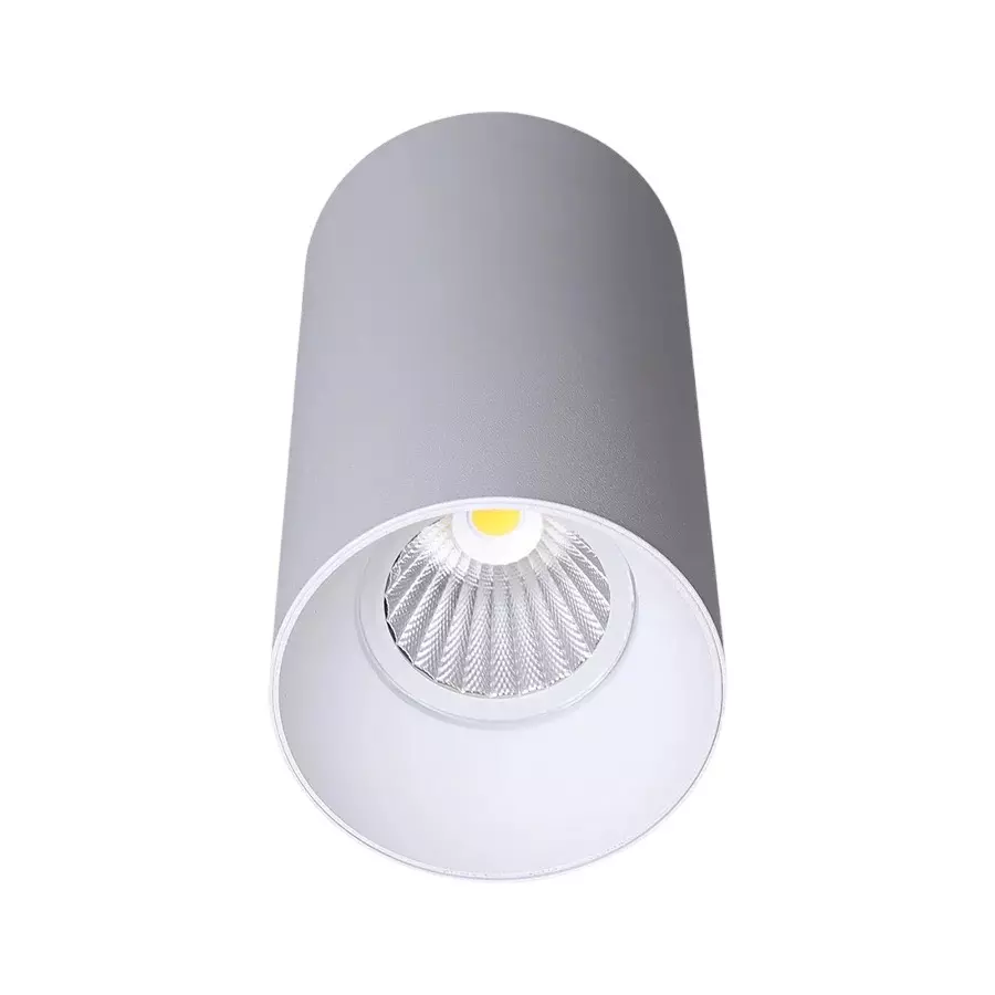 ALT Slender Cob Surface Light IP65 White Body Color 12 W Warm White Light Color, ALT0627