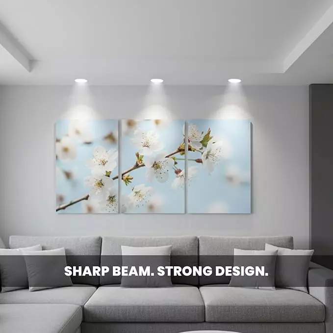 Havells 18 W Crysta Deco LED COB Light White 3000 K 95 mm Cut Out Diameter and 55 mm Height, LHEEBEPBUE1W018