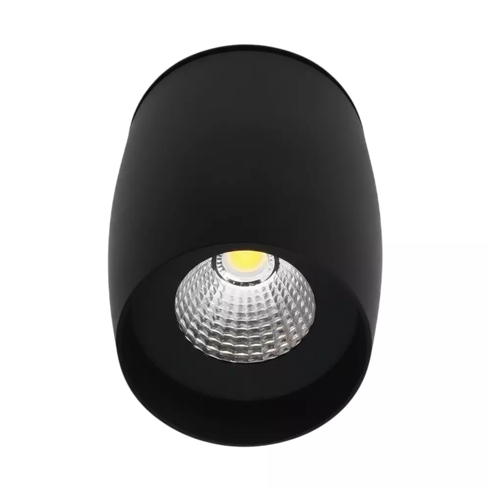 ALT Brisk Cob Surface Light Black Body Color 3 W Natural White Light Color, ALT0901