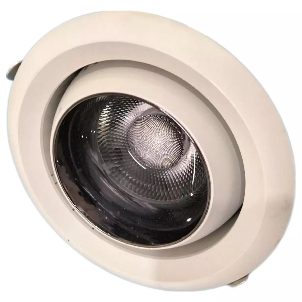 DIYAM 30 W Tunable Focus Cob Multicolor Light Ceiling Lamp