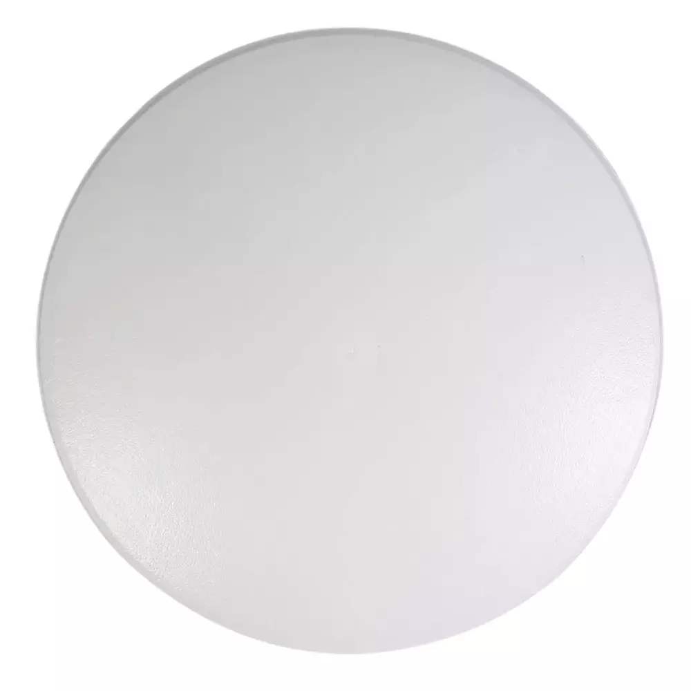 AP Rimless Surface Light Round Shape 18 W Wattage 142 mm Cutout 1500 lm Lumen Cool Light, L016
