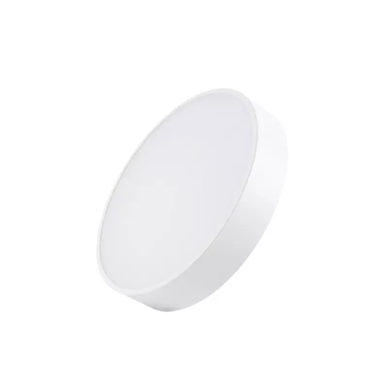 WESTERN Oracle Round Rimless Led Surface Light 24 W Natural White, OR24WRD