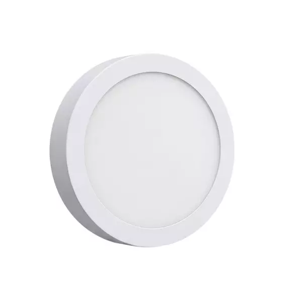 Deepak Quality Lights by SMB Surface LED Panel Light Round Shape 22 W Cool White Corded Electric for Warehouses, Factories & Commercial Use
