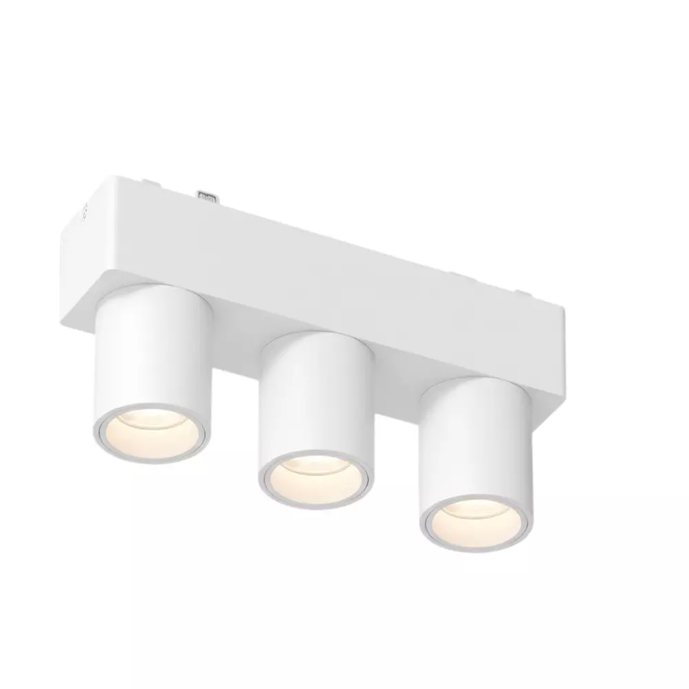 ALT Magnum Scale Module Spot Light White Body Color 6 W Natural White Light Color, ALT1119