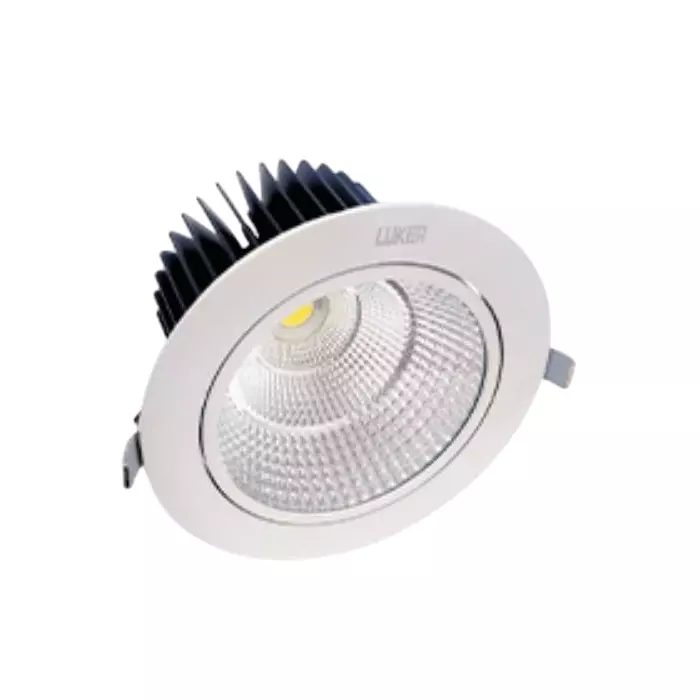 LUKER CORVUS Concealed Spot LED Light 30 W Ø172x110 mm Warm White, LCOBR30