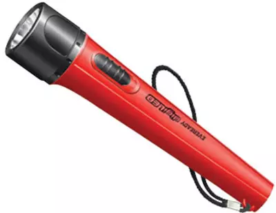 Eveready DL-05 0.2W LED Torch
