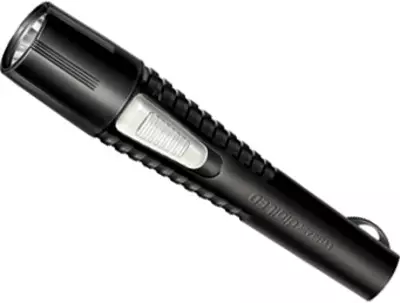 Eveready DL-42 0.2W LED Torch