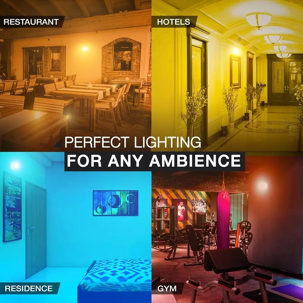 Havells 15 W Dekor Bulb LED Lamp B22 Base Cap and Cool Daylight Effect, LHLDDDBNK5R15