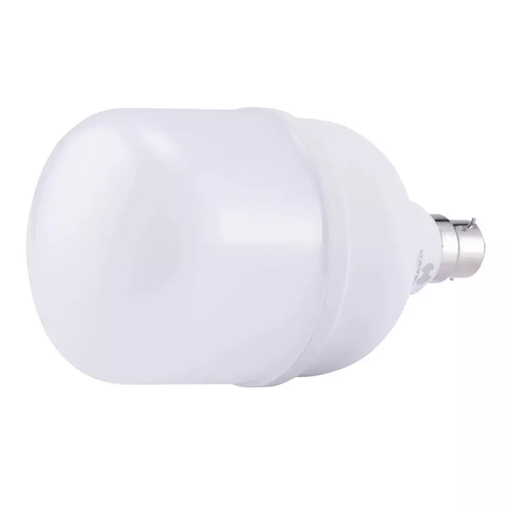 Havells 30W Adore Jumbo 2S D LED Lamp B22 Base Cap and Cool Daylight Effect, LHLDDDBNK5R30